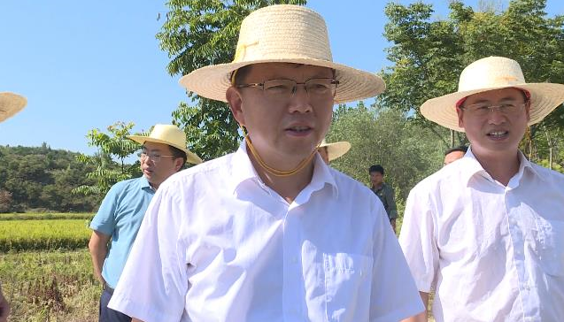 胡广先后来到华家河镇付冲村付家湾饮水工程,双河