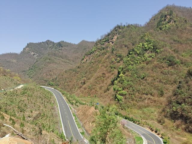 你只知道车厘子 却不知道湖北房县有个樱桃乡