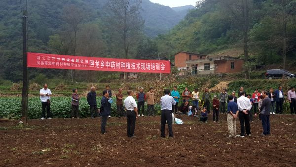 湖北陵州药业联合回龙乡政府开展药材种植培训_房县
