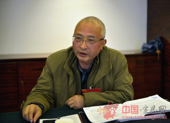 【两会进行时】县政协九届一次会议开展分组讨论（二）
