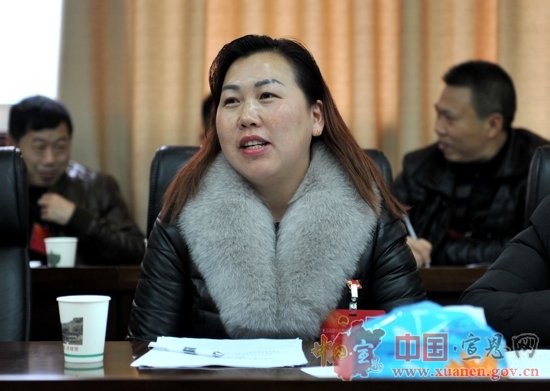 【两会进行时】县十八届人大一次会议代表进行分组讨论（一）