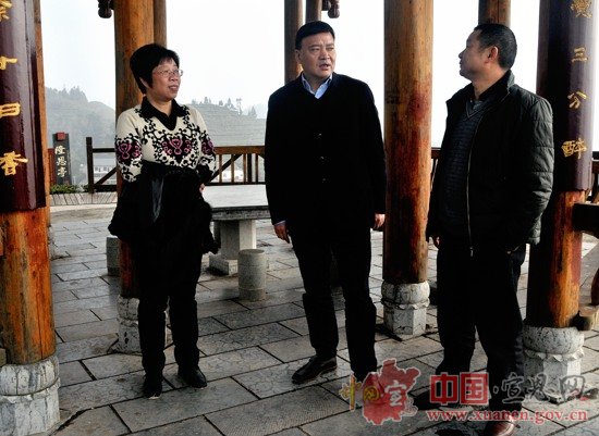 浙江省发改委到宣恩县调研东西部扶贫协作工作