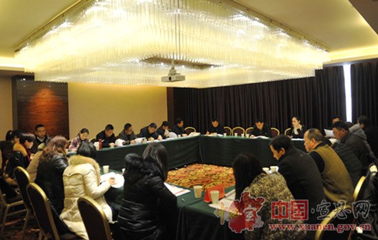 【两会进行时】县政协九届一次会议开展分组讨论（二）