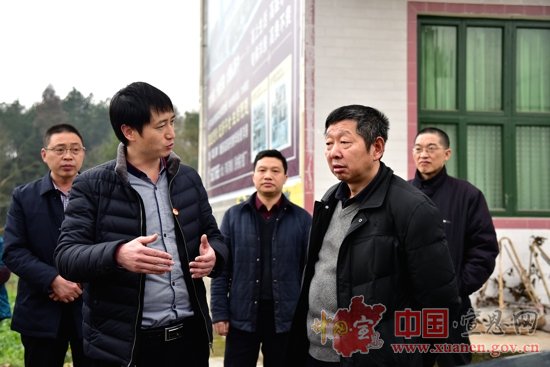 州政府督查组来宣恩督办“绿满荆楚”行动