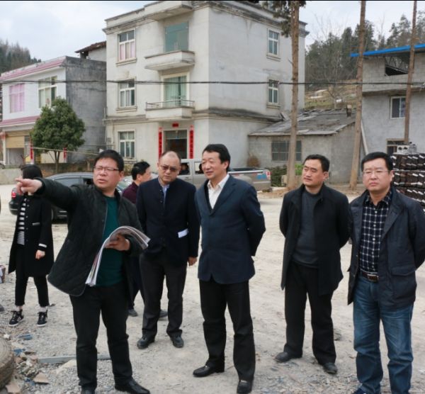 柳望春在建始县花坪镇现场查看建设规划