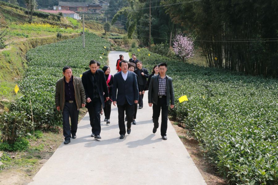 柳望春在咸丰县马家坪村调研