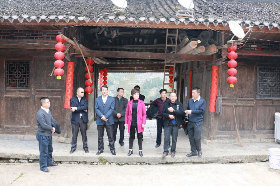 柳望春查看野椒园张氏侗寨