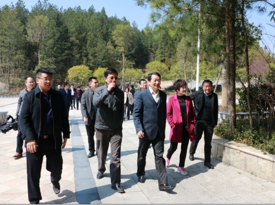 柳望春考察利川市苏马荡发展情况