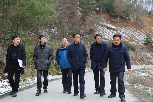 在金盆淌村调研走访