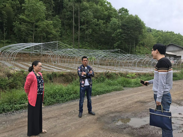 巴东县质监局负责人陈永久与企业负责人交流大棚蔬菜建设情况