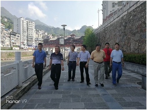 调研组在鹤峰县调研