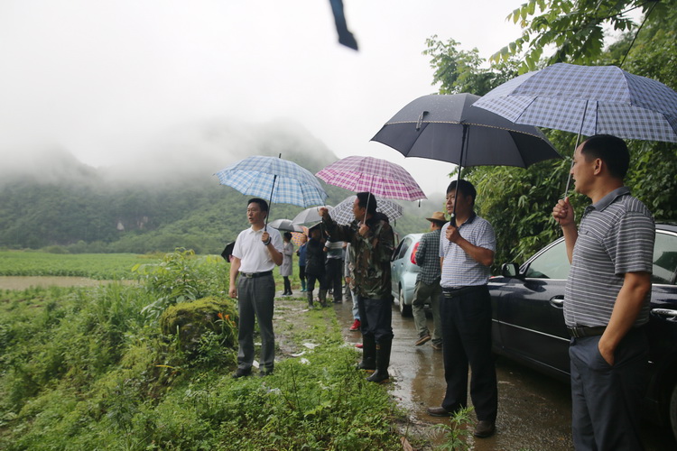 鹤峰县党员干部群众齐心协力抗洪救灾