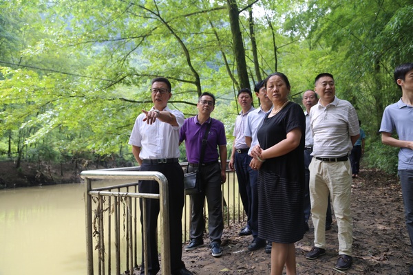 实地查看利川市清江七要口断面水质监测点