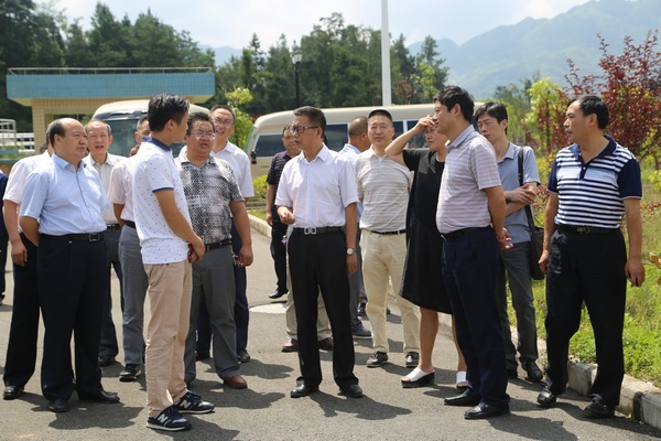 实地查看利川市汪营镇污水处理厂