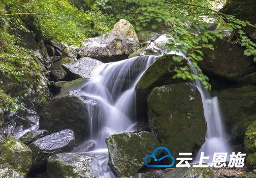 云上恩施报道( 鹤峰台通联 记者 刘丽华 摄影 于洪 谢国知)溪水凉凉,与群山相伴,山不动水自流;溪水潺潺,与茂林相伴,林不语水自悠。绵延千里,蜿蜒而下,清冷似风,清冽如酒,溪涧小语,是自然笔下的灵秀,驱走酷暑的炎热,也带走所有的烦恼。