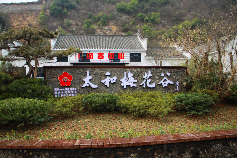 景村共建经验和理念,启迪群众思想;成立太和梅花谷农业观光合作社,对