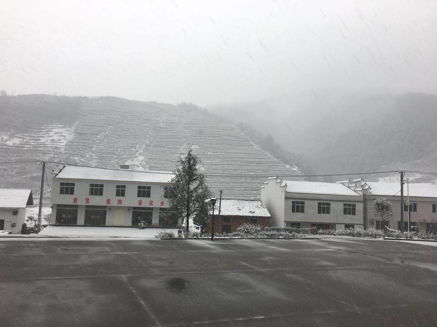 大庙乡已经是银装素裹(清风徐来 摄)树穿雪衣服.