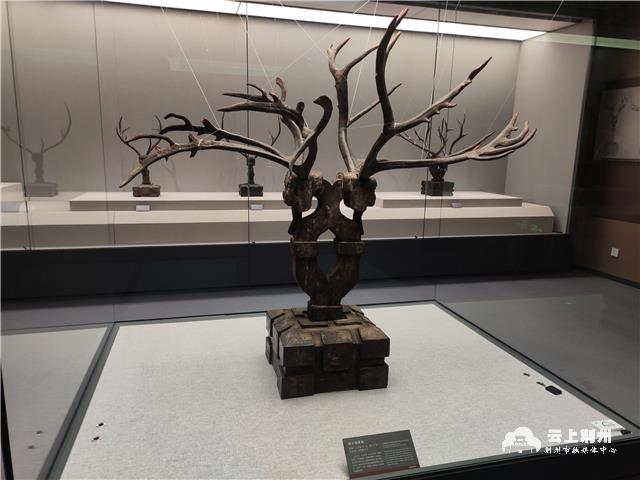 荆州博物馆珍品馆正式恢复开放