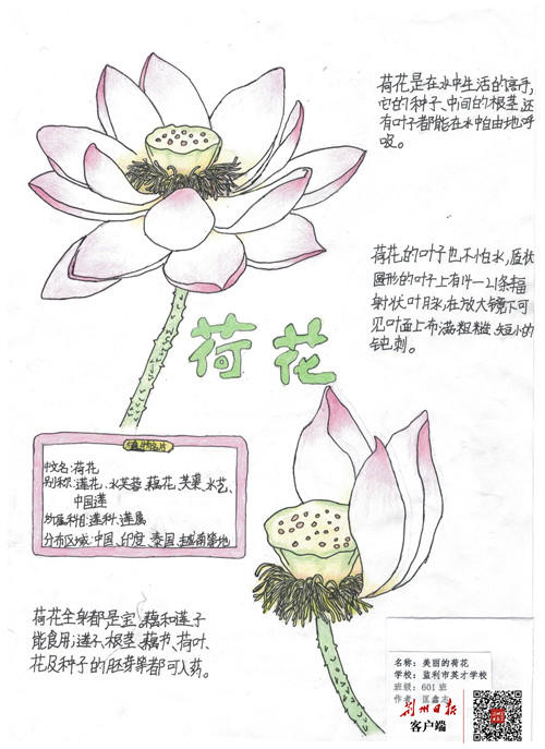 笔记大自然实践展示活动中,监利市英才学校学生匡鑫志的作品《美丽的