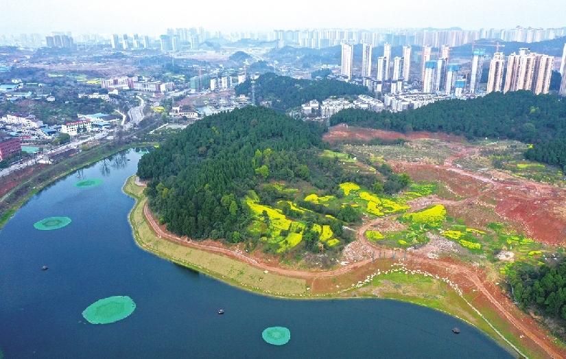 宜昌城区将新增千亩湿地公园