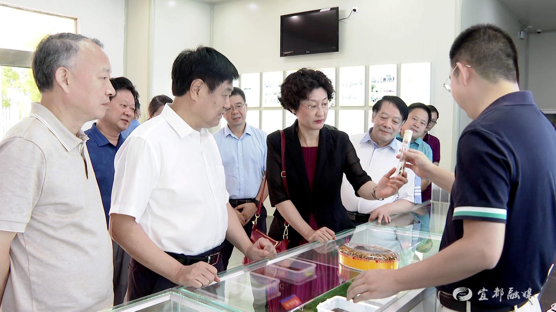 统战部部长王均成,宜都市委副书记邹青松,市委常委,组织部部长余红