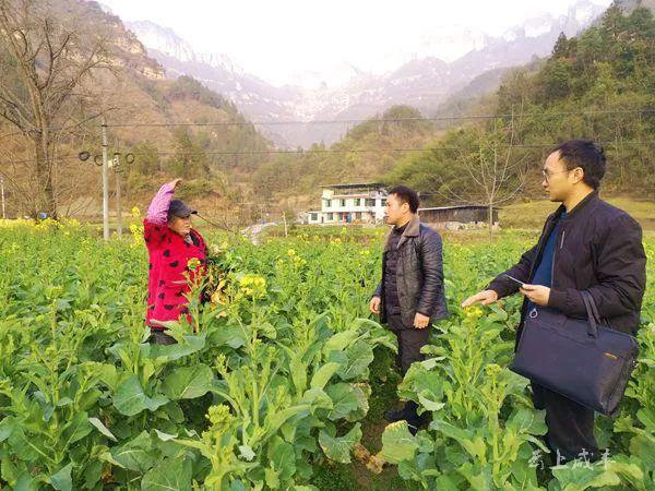 "忠堡镇纪委书记来到烟叶大棚,向烟农了解烟叶育苗情况,搜集相关职能