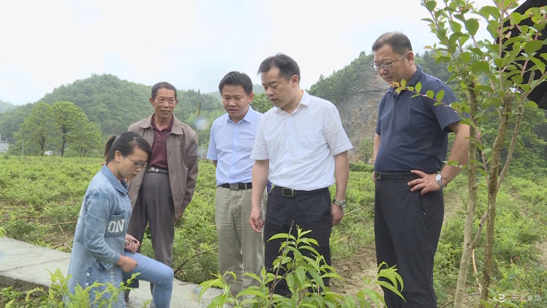 州委常委,副州长唐泓,县领导万晨,曾生及省州县农业部门相关负责人