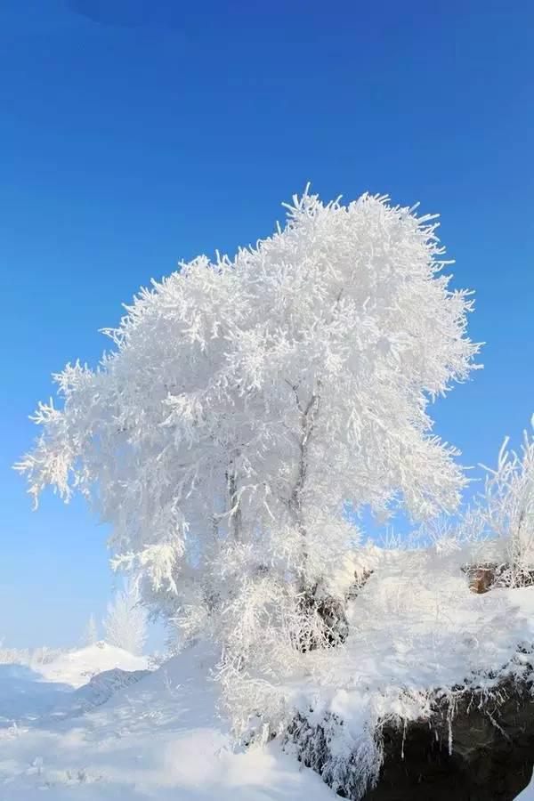 国内雪景最美的10个地方,今年冬天你去哪个?