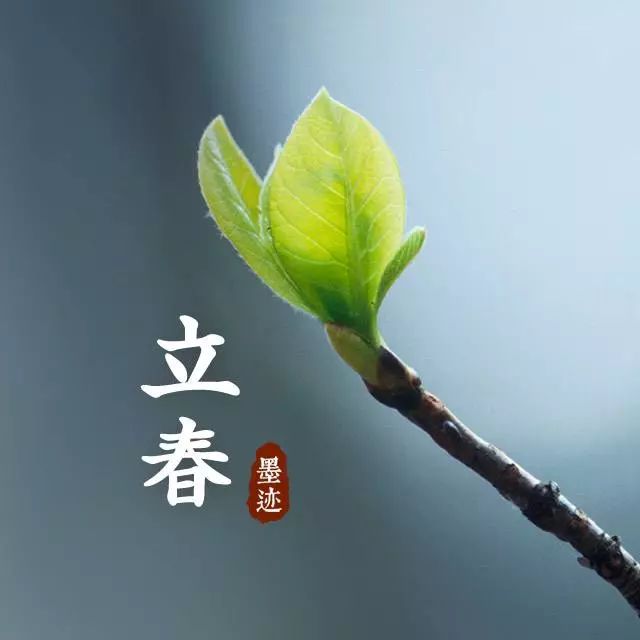 万物复苏今日立春