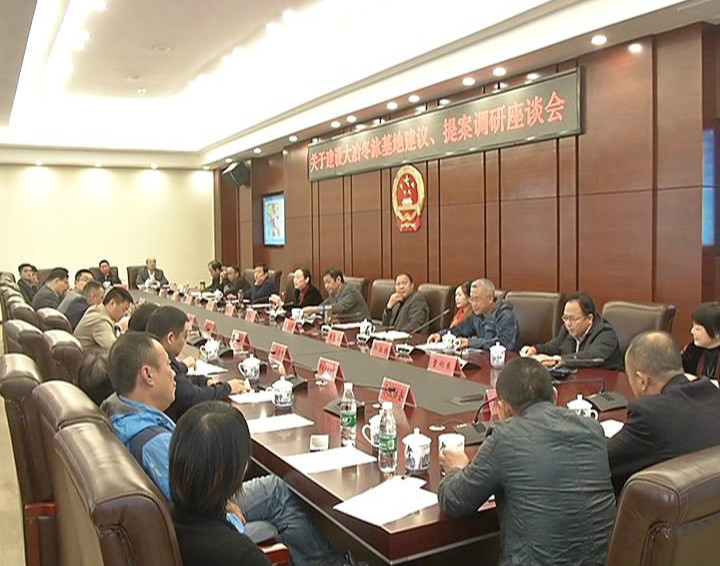 市人大常委会市政协联合督办关于建设大冶冬泳健身基地的建议和提案