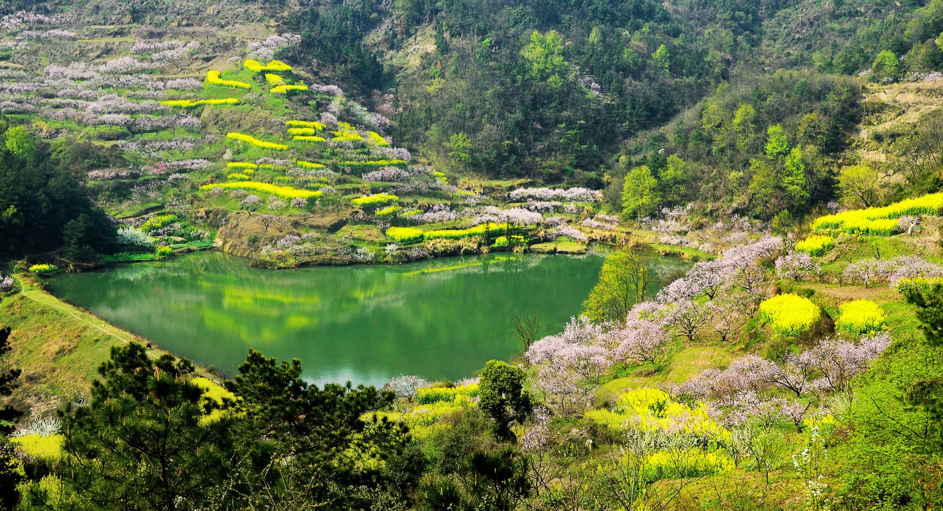 沼山乡村公园