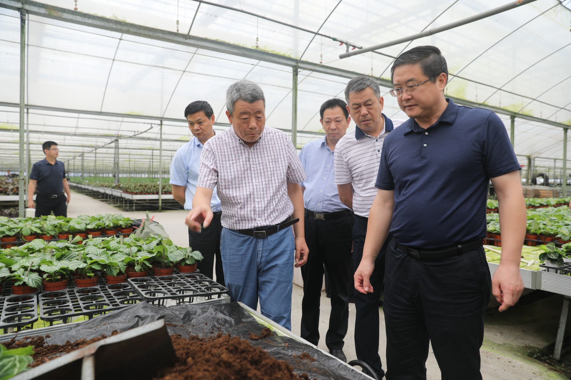 大冶市领导江龙平,汪昭焱,李祥坤,冯海潮,以及相关部门负责人参加考察