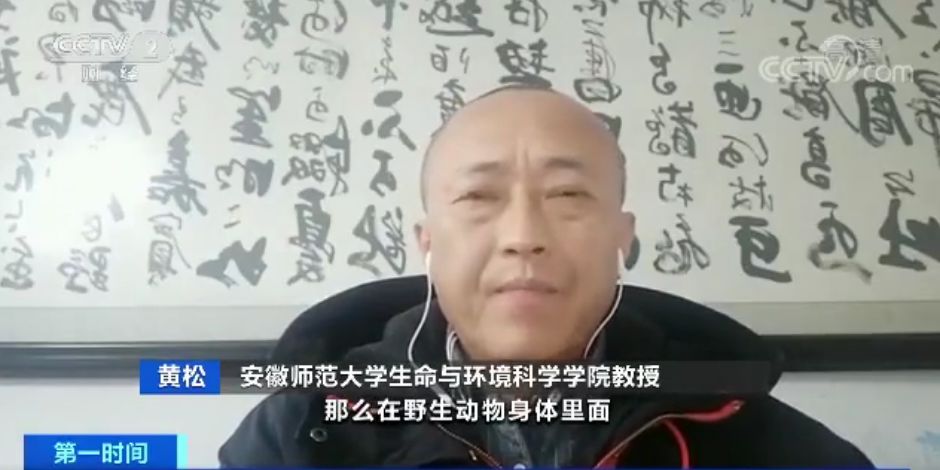 安徽师范大学生命与环境科学学院教授黄松:我们要保护好野生动物,不要