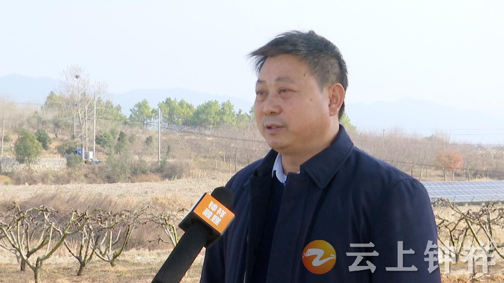 朱小林助推乡村振兴助力农民致富