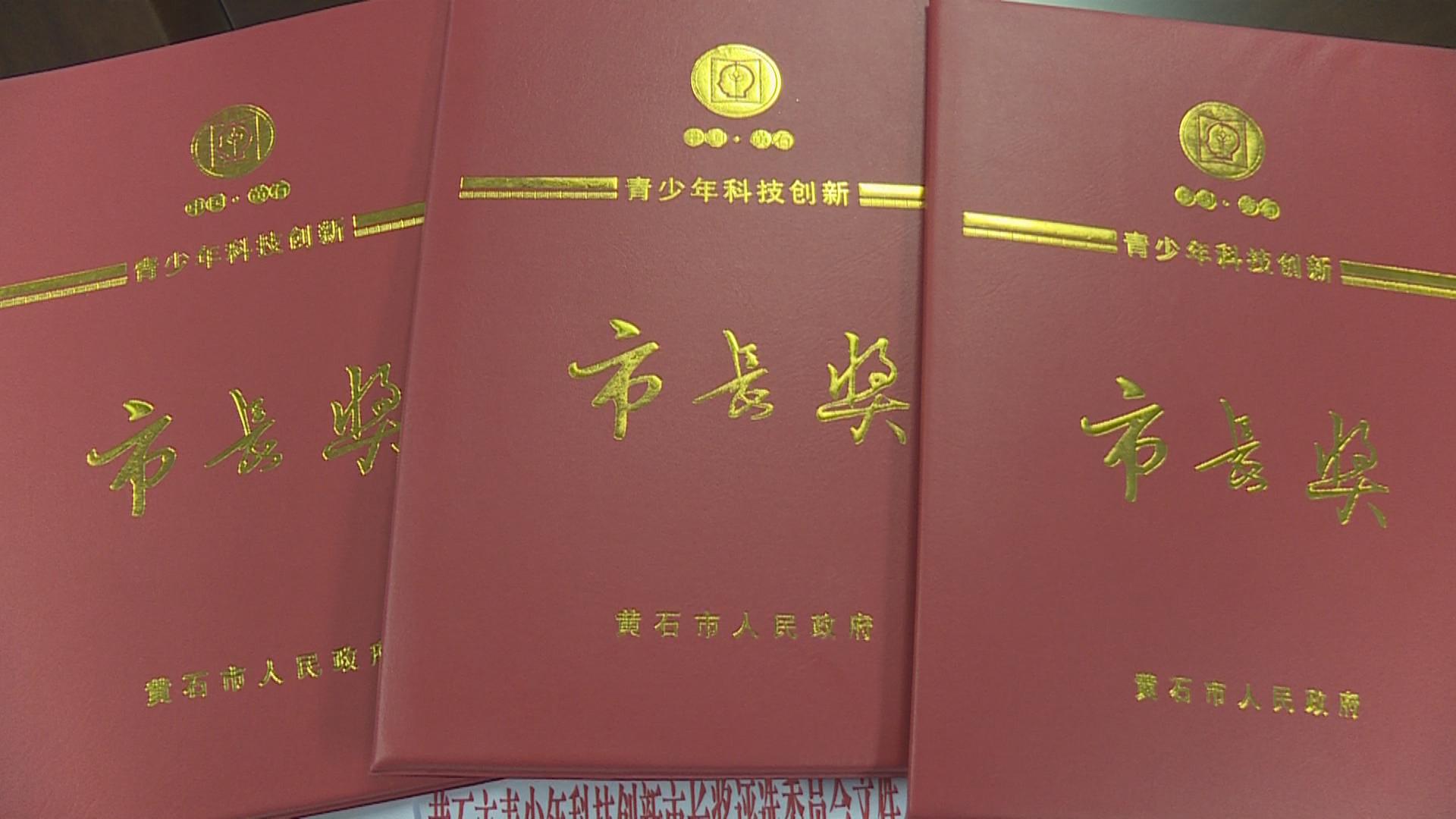 阳新一中在市第四届青少年科技创新市长奖中获佳绩