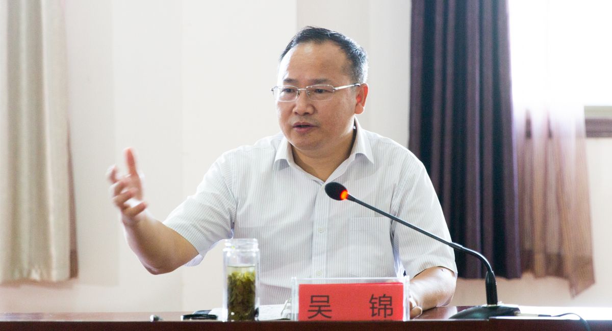 吴锦来阳新调研乡村振兴和抗旱工作并出席聚力脱贫攻坚人大代表在行动