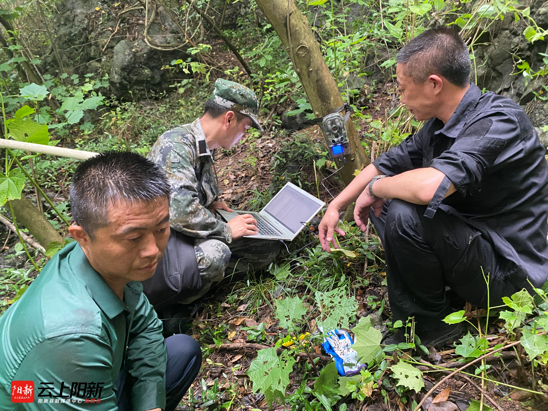 阳新网湖湿地自然保护区大力推进野生动物资源监测