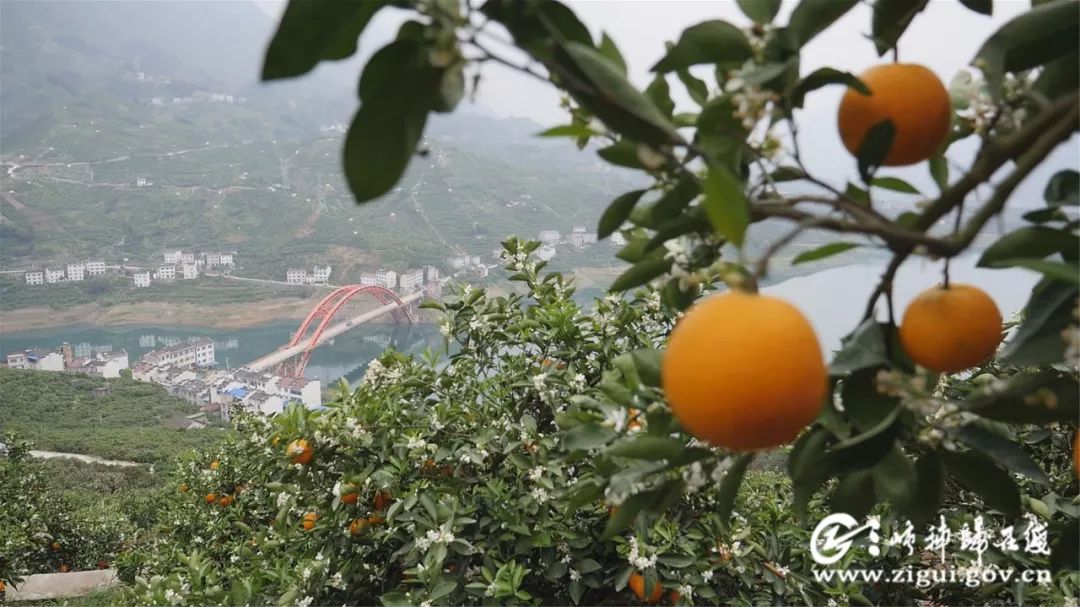 把秭归的故事讲下去让全国人民知道