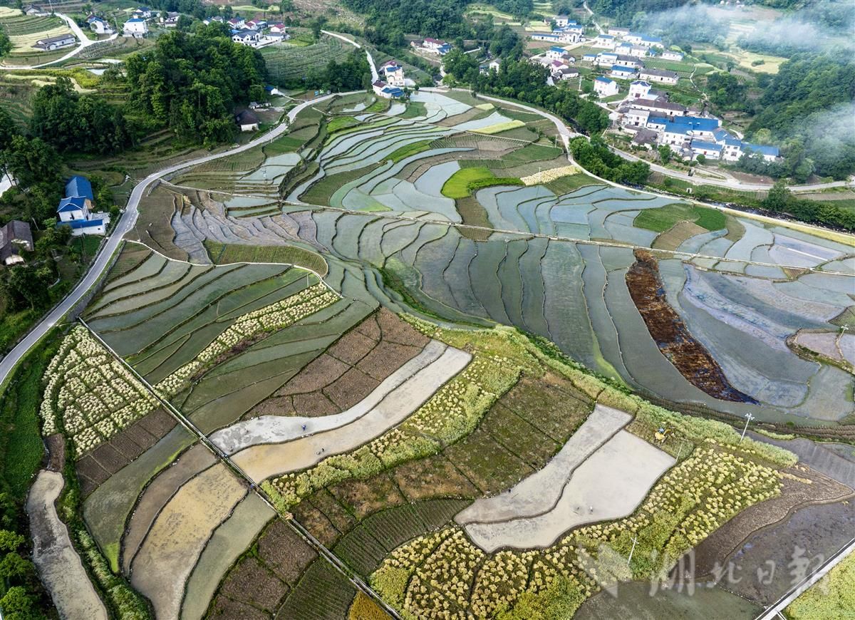 地形崎岖的贵州省是如何养活四千万人口，看看山间水田就知道了
