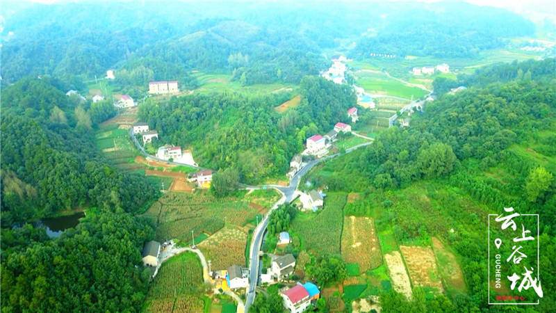 谷城南河傍水小山村蝶变好光景