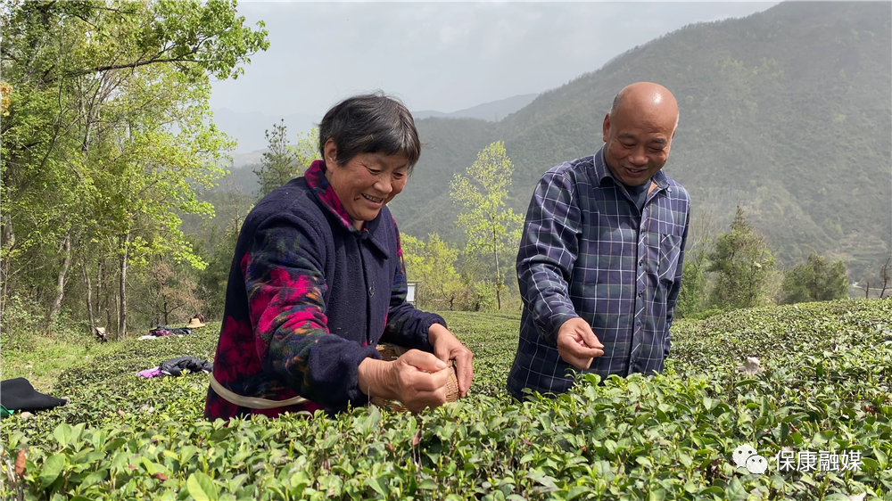 张宗洪办好家庭农场带动乡亲增收