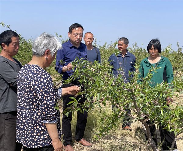 奋进新征程建功新时代新时代劳模风采张道兵创办合作社服务众乡亲