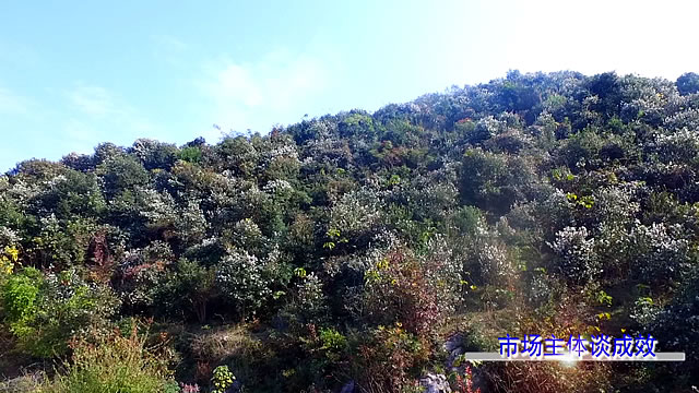 程巍巍扎根山水间带富家乡人