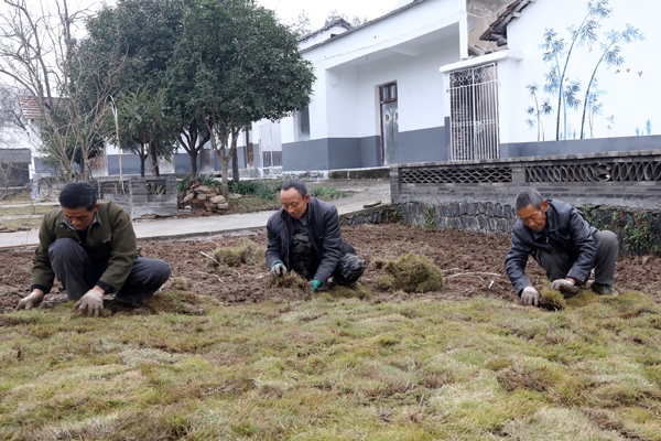 当天,融媒体中心全体党员采编人员来到山区刘猴镇,先后深入洪岗村