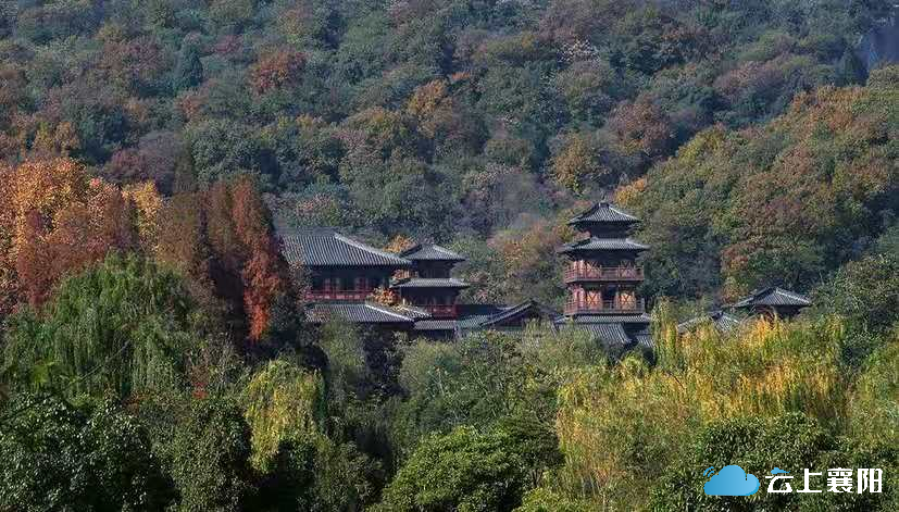 七十年间岘山从光秃秃的荒山蝶变成万亩青山