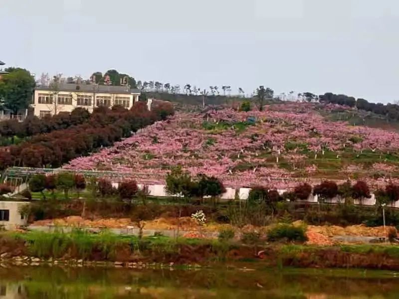 座落在"湖北旅游名村"襄阳十大美丽乡村"的姚庵村,离襄阳市区10公里