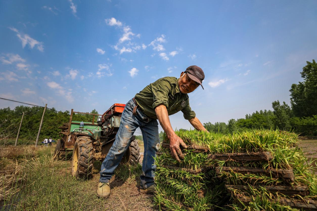 湖北南漳耕种机械化让新农人种田有了科技范儿