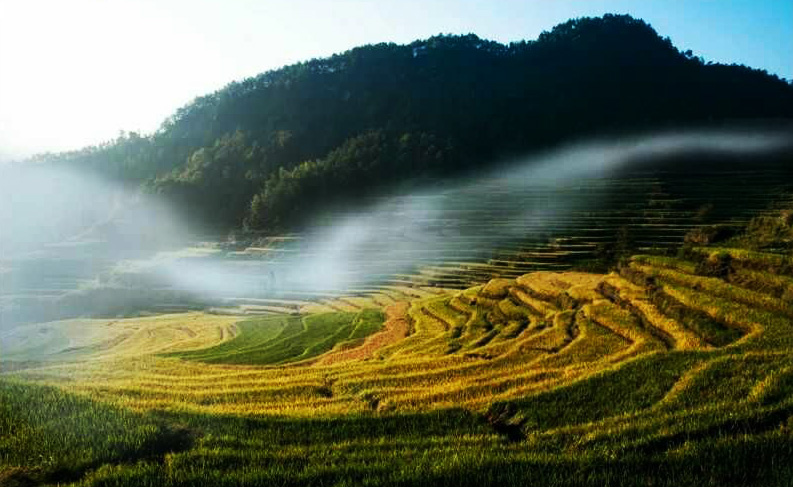 蕲春雾云山梯田美景