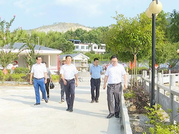县领导到狮子镇调研_蕲春