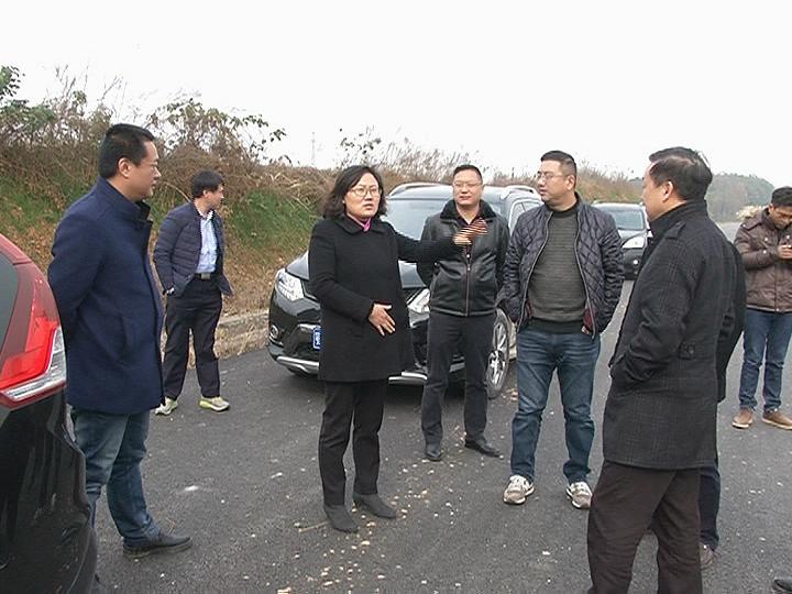 赵少莲调研交通水利项目建设_云上蕲春